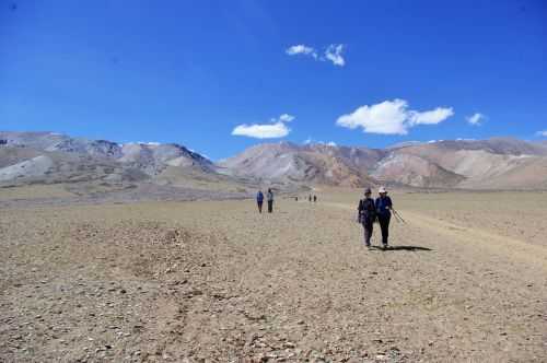 TREKKING IN LADAKH | CHANGTANG 2017